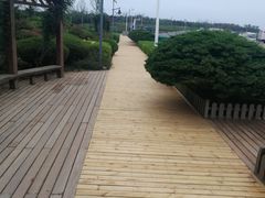 -青岛银沙滩