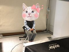 -白箱照相馆·外拍