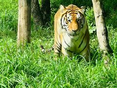 -沈阳森林动物园