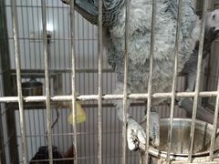 -观桥阁(锦溪店)