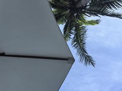 -三亚亚龙湾金棕榈度假酒店