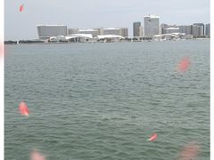 -五缘湾游艇帆船俱乐部