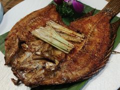 -紫滇源云南生态菜(丹凤街店)