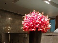 -上海柏悦酒店