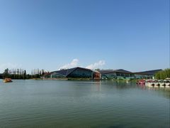 -上海长兴岛郊野公园