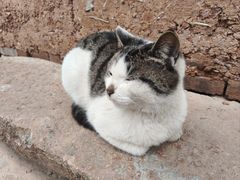 -清漾毛氏文化村