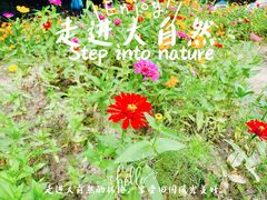 -黄兴公园