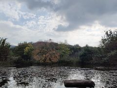 -白马涧龙池景区