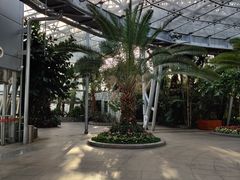-北京植物园-展览温室