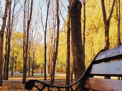 -长春公园(普阳街道)