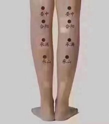 -香薇妮丝女子减肥院