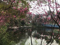 -重庆彩云湖湿地公园