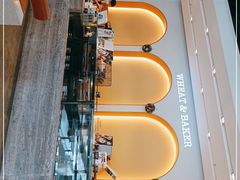 -王春春鸡汤饭(成都城西优品道店)