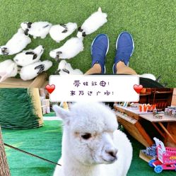 -萌宠亲子动物乐园(槐房万达店)