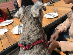 -Cactus墨西哥仙人掌餐厅