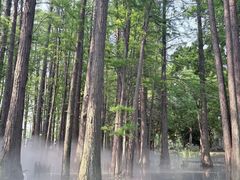 -东湖落雁景区