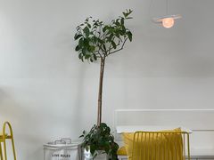 -五进制 Coffee Shop