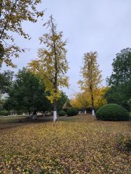 -昆城一品国际宴会中心·宴会厅