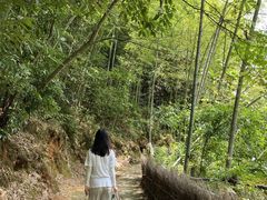-千泷沟大瀑布旅游区