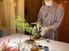 -叶叶菩提·晋福宫