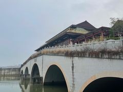 -大湾区中央湿地公园