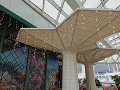 -润园四季椰子鸡火锅(海上世界店)