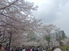 -堤角公园