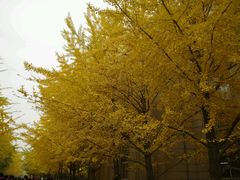 -辽宁大学(崇山校区)