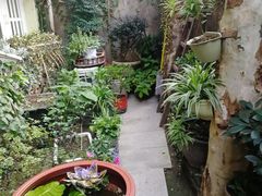 -猫色咖啡·猫咖