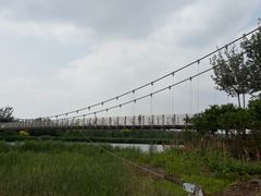 -西青郊野公园