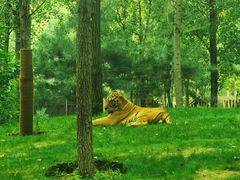 -北京野生动物园