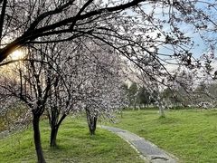 -大蜀山国家森林公园