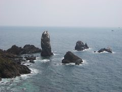 -涉地可支