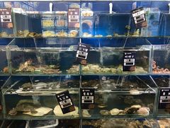 水产区-小船渔村•大连菜•大连焖鱼(明泽街店)