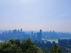 -南山植物园