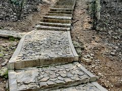 -上海佘山国家森林公园天马山园