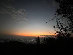 -长虫山生态公园风景林