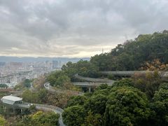 -福道