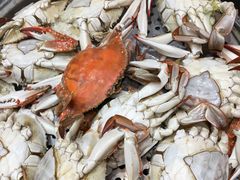 大锅蒸海鲜-福泉海码头(六里山店)