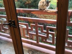 -随园餐厅自助早餐(祥生大酒店)