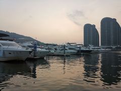 -小猫钓鱼海钓俱乐部(椰梦长廊店)