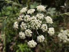 -碓臼峪自然风景区