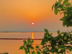 -芒洲湿地公园