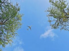 -春花秋色城市公园