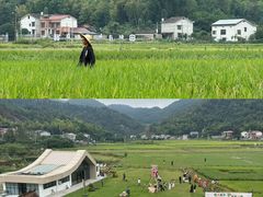 -长沙黑麋峰国家森林公园