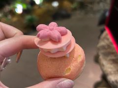 -杭州温德姆至尊豪廷大酒店