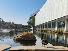 -罗红摄影艺术馆