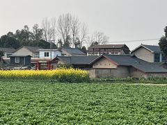 -两河城市森林公园