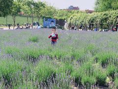 -季高兔窝窝亲子园(上海薰衣草公园店)