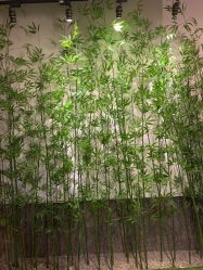 -盘子女人坊古装写真摄影(天津总店)